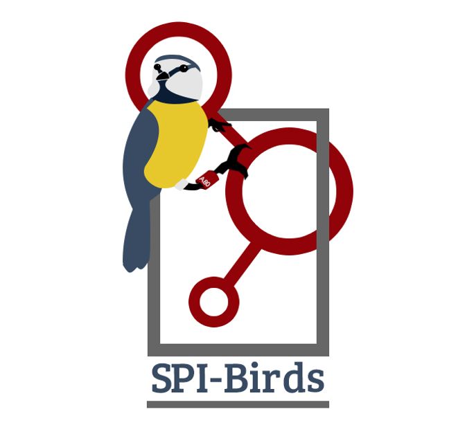 SPI-Birds logo